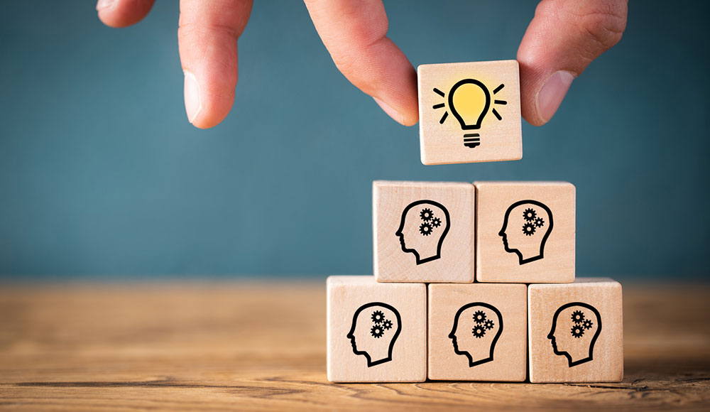 Future Leadership Change Management LINXYS Future Leadership Change Management LINXYS